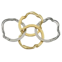 Hanayama Cast Huzzle (Puzzle) Cast RING -Tenyo shop 25 b 84947.1301229454