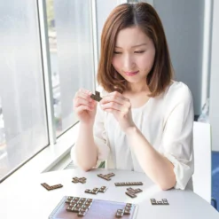 Hanayama Brain Teaser Meiji Milk Chocolate Puzzle Difficulty Level 2 -Tenyo shop 4977513047210 5 50021.1534217470