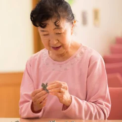 Hanayama Brain Teaser Meiji Milk Chocolate Puzzle Difficulty Level 2 -Tenyo shop 4977513047210 6 90637.1534217470