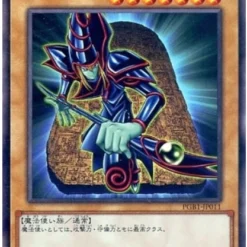 Prismatic Secret Rares & Ultimate Rares (PGB1) 13 Prismatic Secret Rares & Ultimate Rares (PGB1) -Tenyo shop ultimatedarkmagicianpgb1